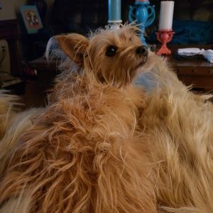 Meet your Posher, Colette